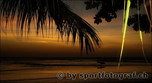 dsc_1287k.jpg