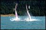 APF_1815.jpg