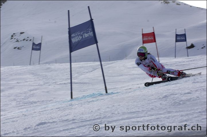 apf_0081_2.jpg