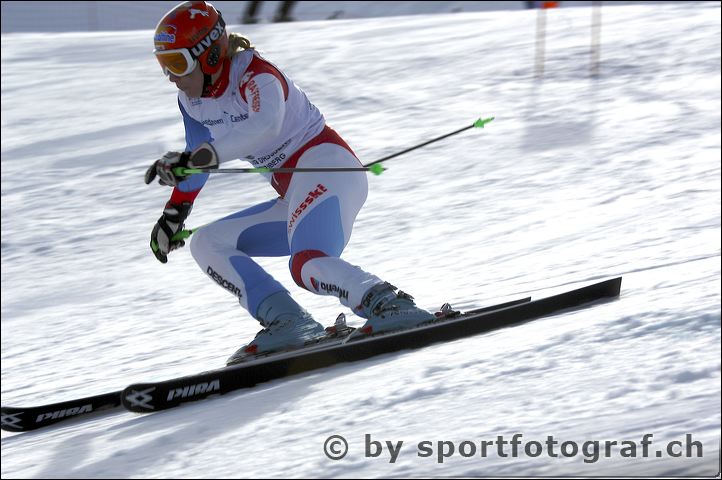 apf_0135_2.jpg