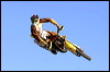 _DSC8521.jpg