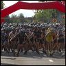 APF_2018_2.jpg