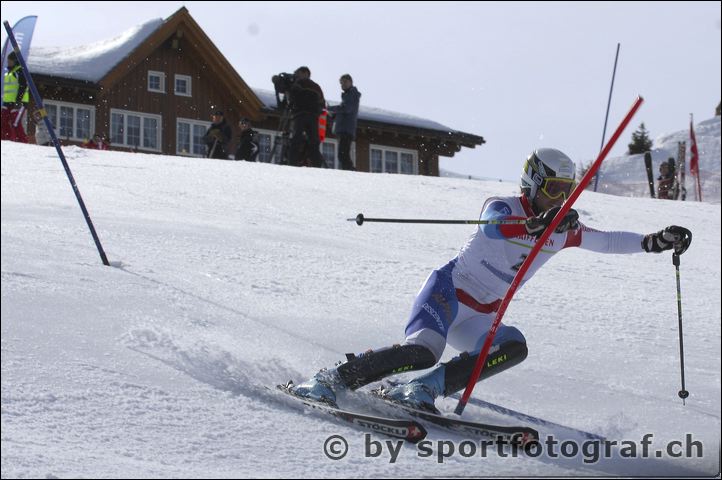apf_0367_2.jpg