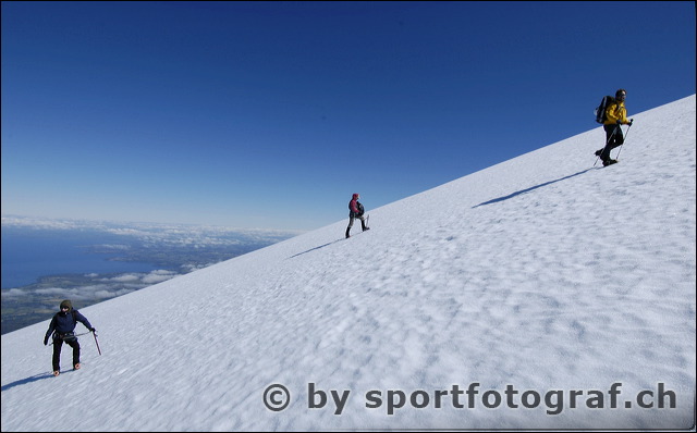 _dsc0986.jpg