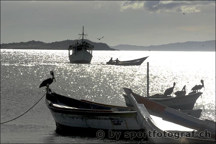 apf_6055_2.jpg
