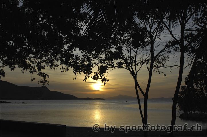 wic23-37-06_2.jpg
