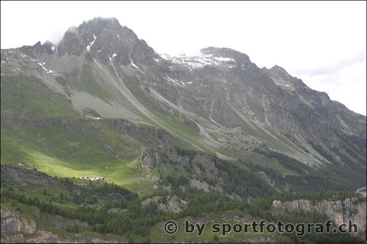 apf_1337.jpg