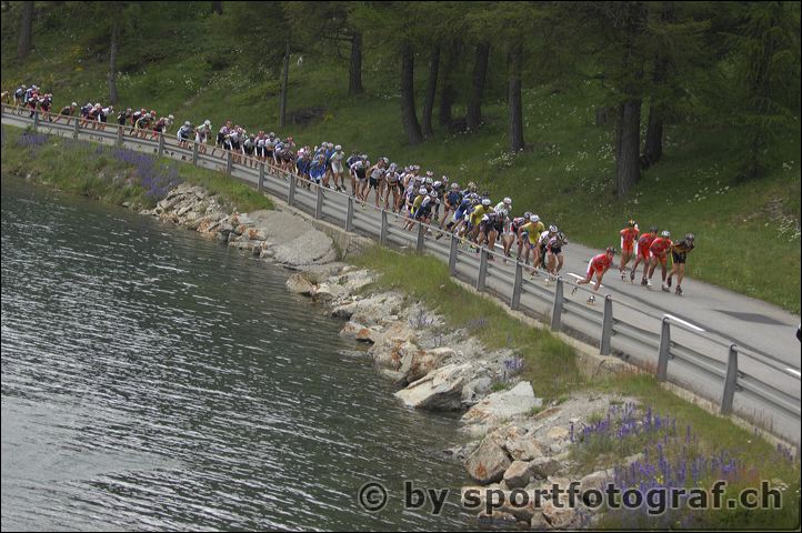 apf_1498.jpg